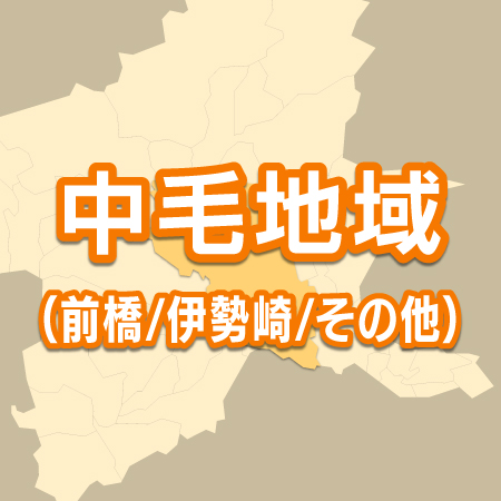 中毛地域